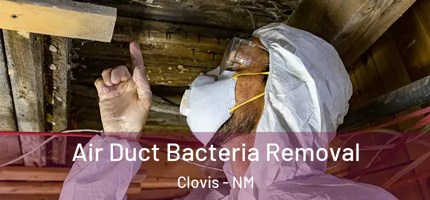 Air Duct Bacteria Removal Clovis - NM