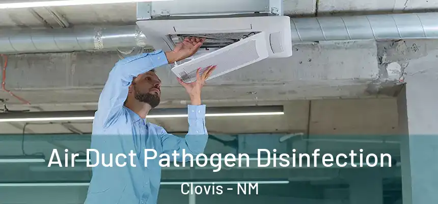 Air Duct Pathogen Disinfection Clovis - NM