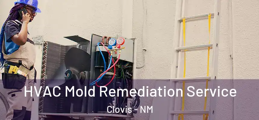 HVAC Mold Remediation Service Clovis - NM