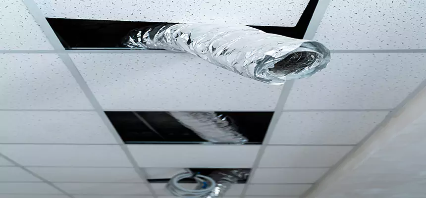 Affordable HVAC Sanitizing After Pest Removal in Clovis