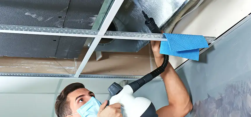 Our Air Duct Rodent Removal Services in Clovis, NM
