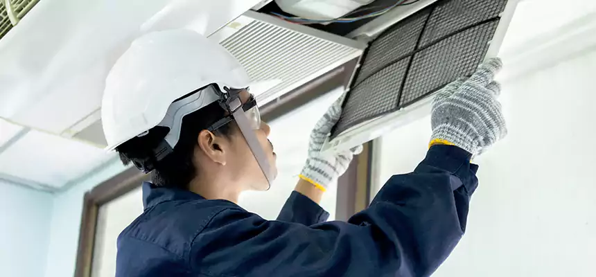 Our Mold & Mildew Removal from Air Ducts Services in Clovis, NM