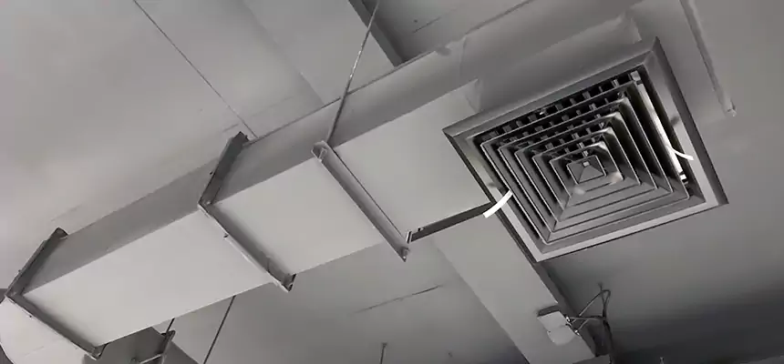 Our Pest Removal From Ducts Services in Clovis, NM