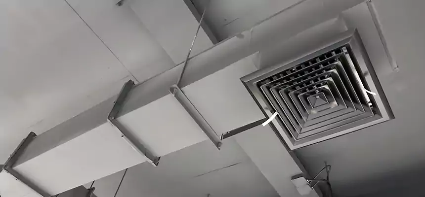 Our Rodent Droppings In Vents Services in Clovis, NM