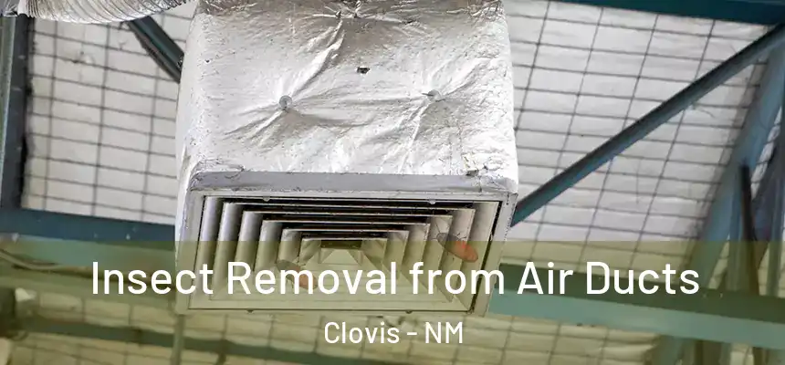 Insect Removal from Air Ducts Clovis - NM
