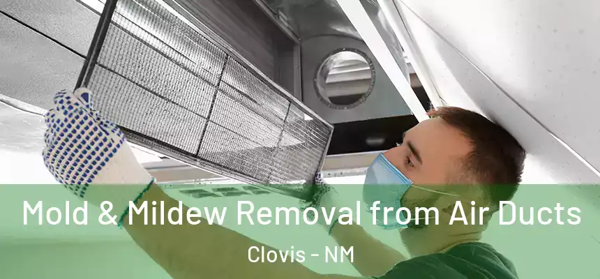 Mold & Mildew Removal from Air Ducts Clovis - NM