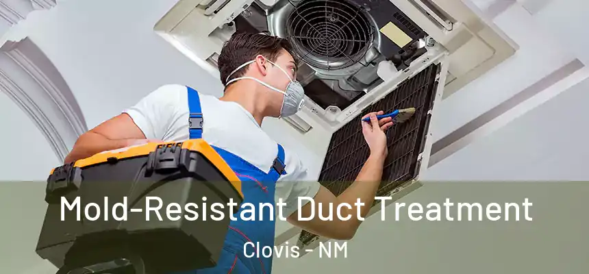 Mold-Resistant Duct Treatment Clovis - NM