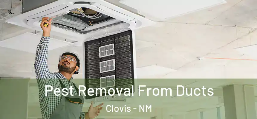 Pest Removal From Ducts Clovis - NM