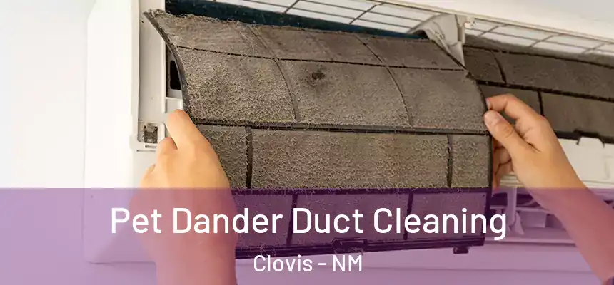 Pet Dander Duct Cleaning Clovis - NM