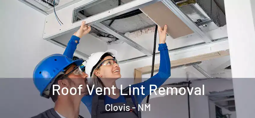 Roof Vent Lint Removal Clovis - NM