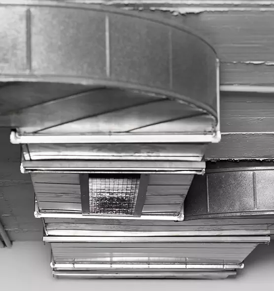 Professional Air Duct Pest Removal in Clovis, NM