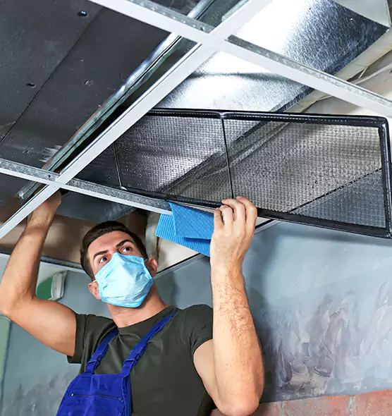 Professional Air Duct Pollen Cleaning in Clovis, NM