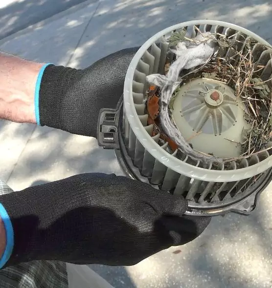 About Air Duct Rat Removal in Clovis, NM