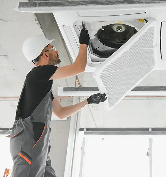 About Air Duct Rodent Removal in Clovis, NM