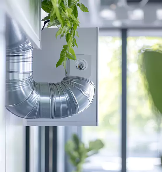 Professional Eco-Safe Dryer Vent Cleaning in Clovis, NM