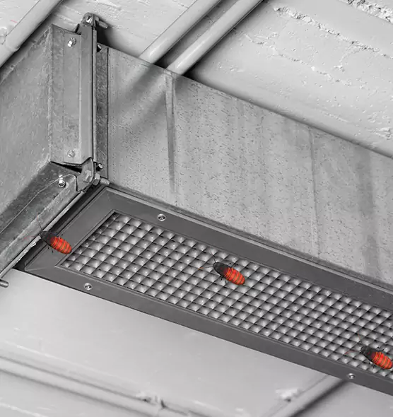 Affordable Insect Removal from Air Ducts in Clovis, NM